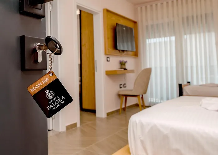 Paloka Collection Shëngjin