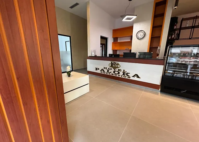 Paloka Collection Shëngjin